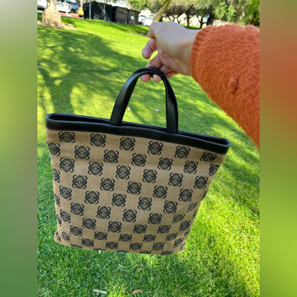 Vintage Loewe canvas mini Tote handbag